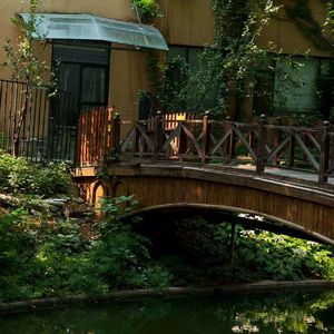 My Unwavering Promise