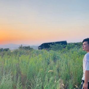 放你自由好好过