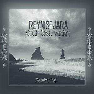 Reynisfjara (South Coast Version)