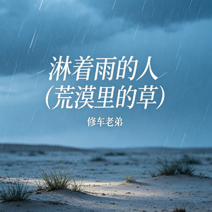 淋着雨的人（荒漠里的草）