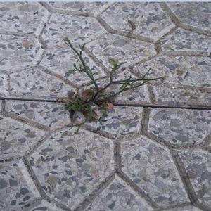 Retour Etrange (feat. Frédéric Soulignac, Bertrand Bourboulon, Christian Doux, Guillaume Leroy)