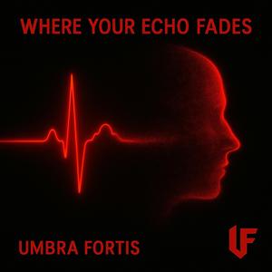 Where Your Echo Fades