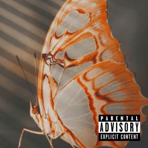Butterflies (feat. Neptxne)