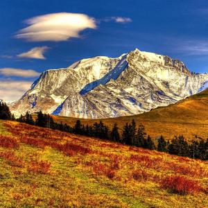 Shukuru（Instrumental）