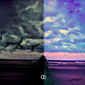 ROSES (feat. Dylwill7skill & Prxceless)