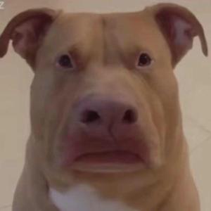 Screenrecording_20220402_085339_20220402_085506