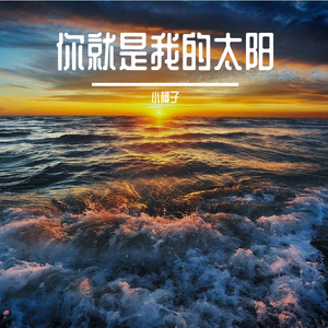你是我的太阳