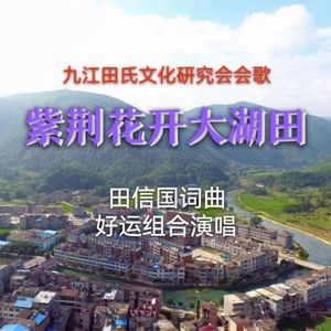 紫荆花开大湖田