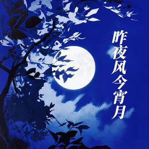 昨夜风今宵月（温柔女声完整版）
