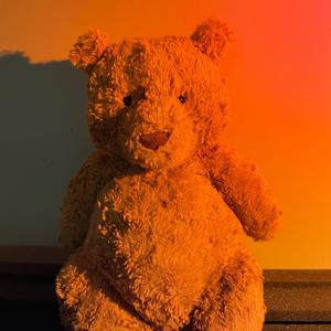 星星那么亮只有你一颗