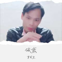 你是我心中的太阳