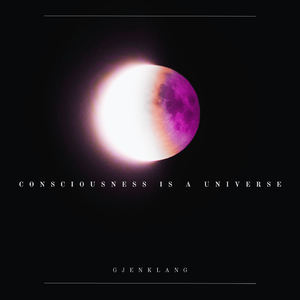 Consciousness Is a Universe