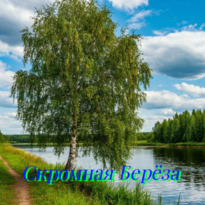 Скромная Берёза