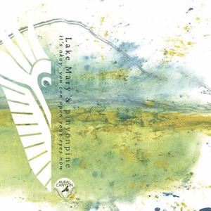 it's okay, you can open your eyes now (feat. pinyonpine)