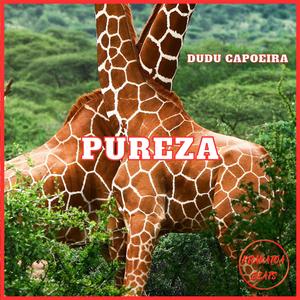 Pureza