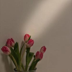 盛开的黄昏(原唱:古立权)