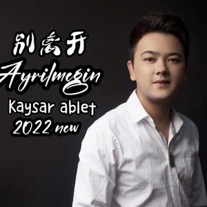 Ayrilmegin-别离开