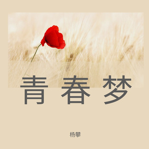 云烟成雨