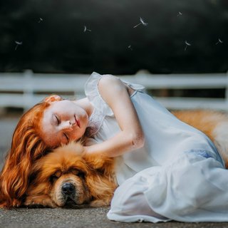 日系 | 消除疲倦，安抚心灵