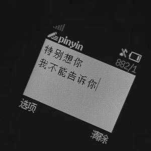 我 真 的 不 會 再 愛 妳 了