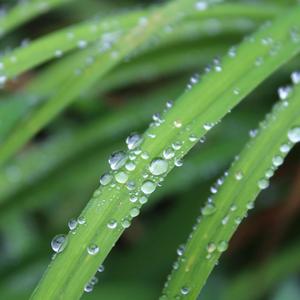 自然韵律（安静纯音乐）