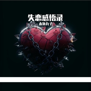 失恋感悟录伴奏