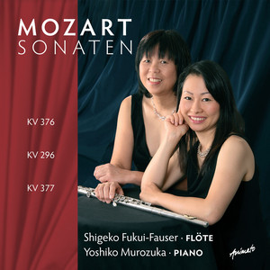 Sonate F Major KV 376 - Rondo allegretto grazioso
