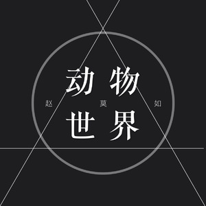 动物世界（Cover 薛之谦）