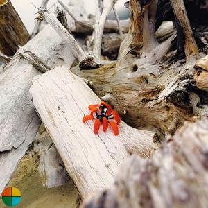 The Adventures Of: SPUMPKIN (Main Theme)