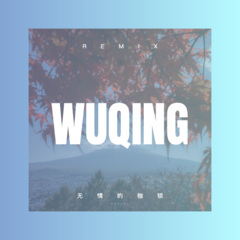 非正常励志歌 (DJ版)