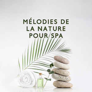 Gazouillis d'oiseaux