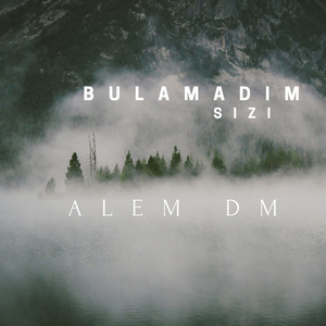 Bulamadım Sizi