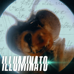 Illuminato