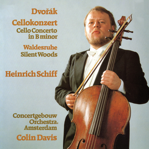 Cello Concerto in B Minor, Op. 104, B. 191:I. Allegro