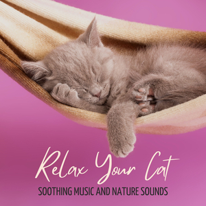 Relax Your Cat