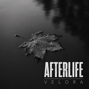 Afterlife