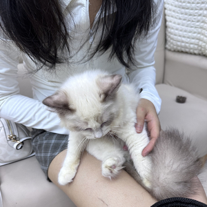 忘记不了的 会梦见的