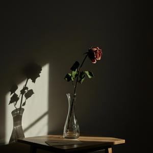 君という光 (The Light You Gave)