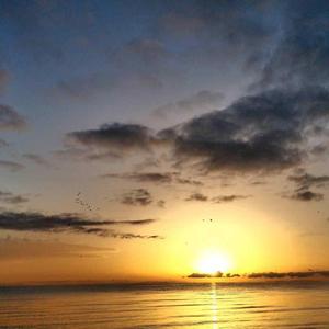 很遗憾我们的青春让自己后悔