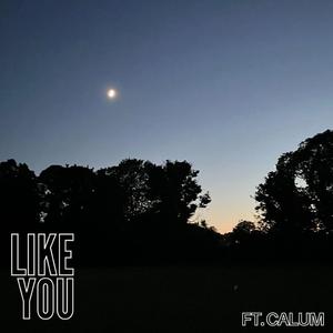 Like You (feat. Calum)