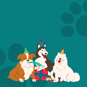 Nightfall Lullaby Music for Pets' Peaceful Sleep