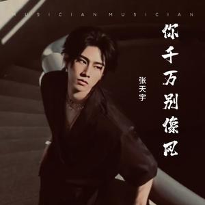 你千万别像风