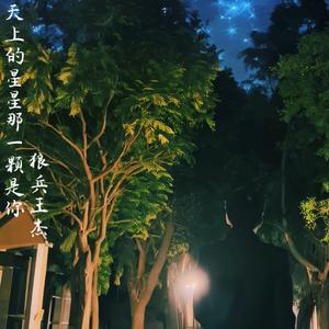 天上的星星那一颗是你