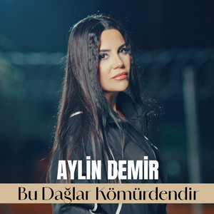 Bu Dağlar Kömürdendir
