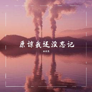 原谅我还没忘记（温柔男）