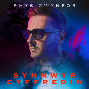 Synnwyr Cyffredin