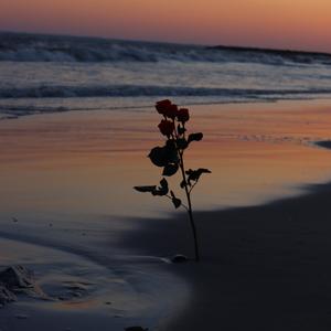 他说.Prod EVO MUSIC