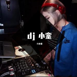 Dragostea-no妈耶（煈小銮 remix）