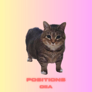 positions oiia