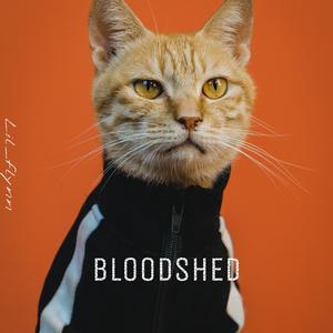 Bloodshed（prod by Double Beat）